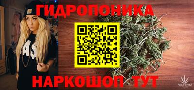 a pvp Бердск