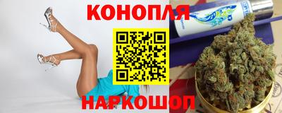 a pvp Бердск