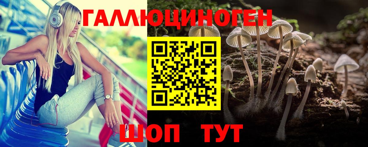 Псилоцибиновые грибы Cubensis  Псилоцибиновые грибы Psilocybe  Саянск  Вход с VPN 